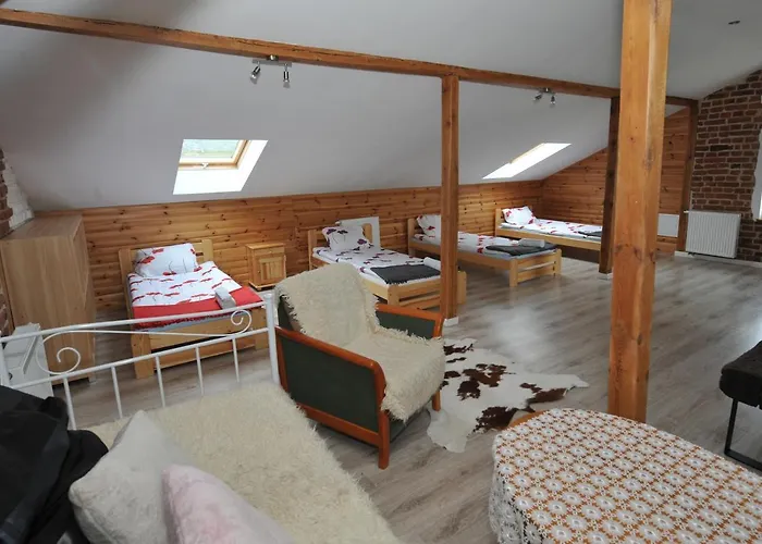 Zakatek Alpaka Hostal Będzin