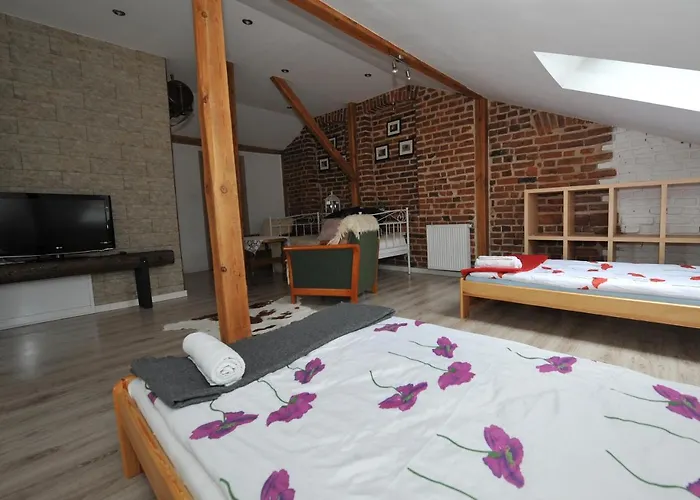 Zakatek Alpaka Będzin