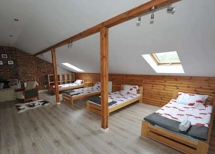 Zakatek Alpaka * Będzin