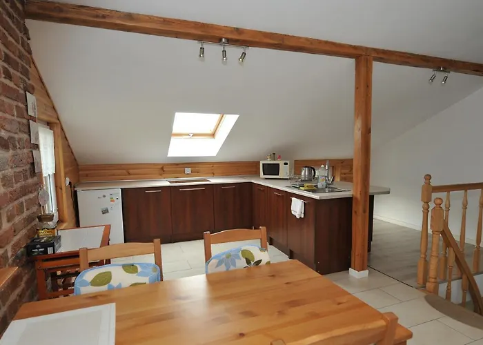 Zakatek Alpaka * Będzin